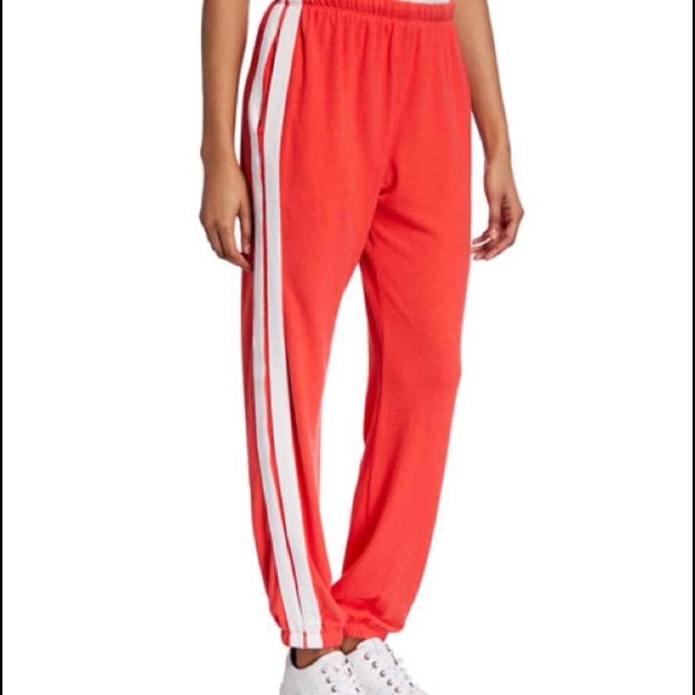 Spiritual Gangster Malibu Nights Sweatpants Small